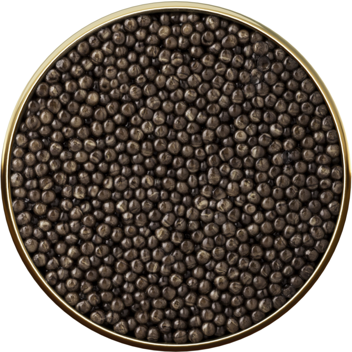 Siberian Caviar 4*