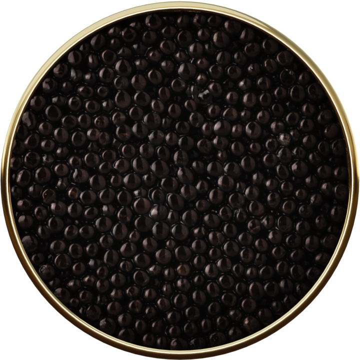 Siberian Caviar 6*