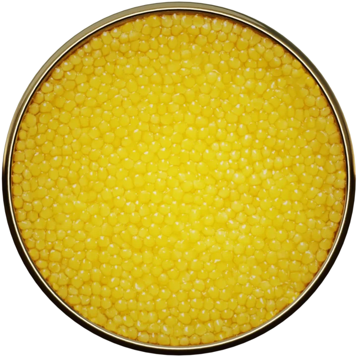 Albino caviar